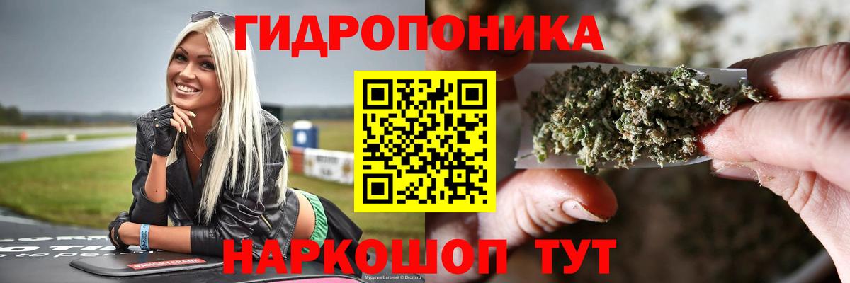 Конопля LSD WEED  Бошки марихуана SATIVA & INDICA  Лесной  Вход с VPN  Каннабис VHQ 
